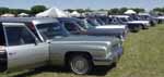 60's 70's Row of Hearses