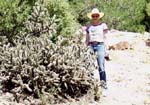 Lottie with Big Cactus