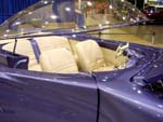 Bubble Top Custom